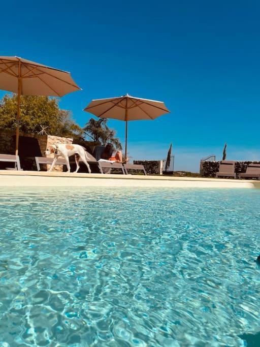 Dome Insolite Cedre Jacuzzi Et Petits Dejeuners Inclus Lagraulet-du-Gers Bagian luar foto