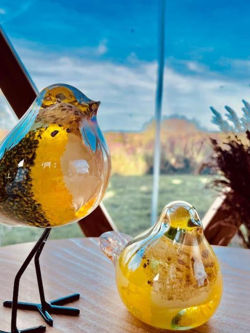 Dome Insolite Cedre Jacuzzi Et Petits Dejeuners Inclus Lagraulet-du-Gers Bagian luar foto