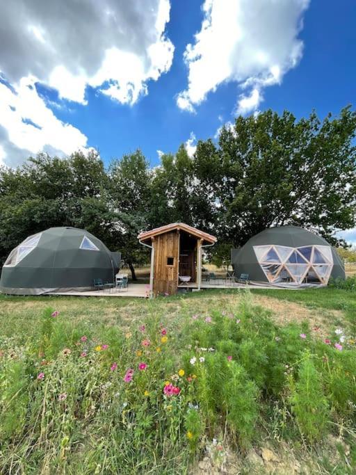 Dome Insolite Cedre Jacuzzi Et Petits Dejeuners Inclus Lagraulet-du-Gers Bagian luar foto